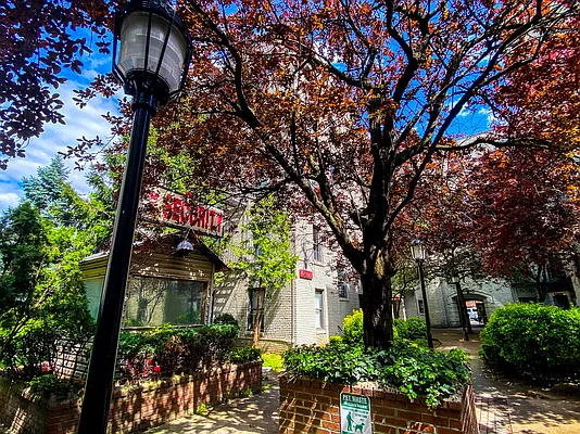 Rented by Voro New York | media 25