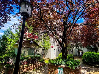 Rented by Voro New York