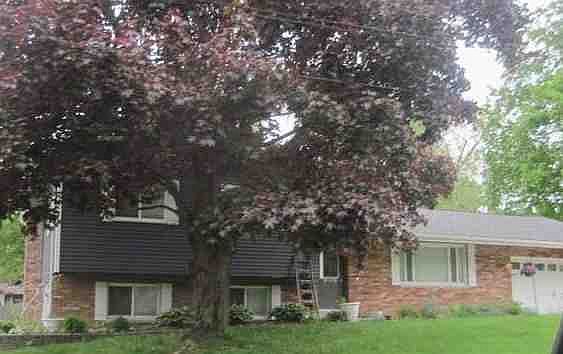 1st image of 172 Chapel Hill Dr