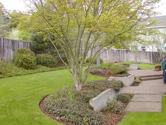 Upper Area of Backyard
