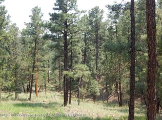 202 Crown Ridge Rd, Alto, NM 88312