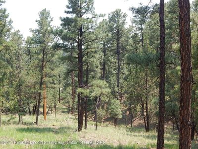 202 Crown Ridge Rd, Alto, NM, 88312