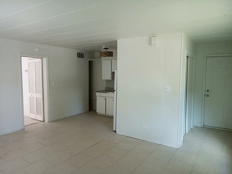 Living room and kitchen