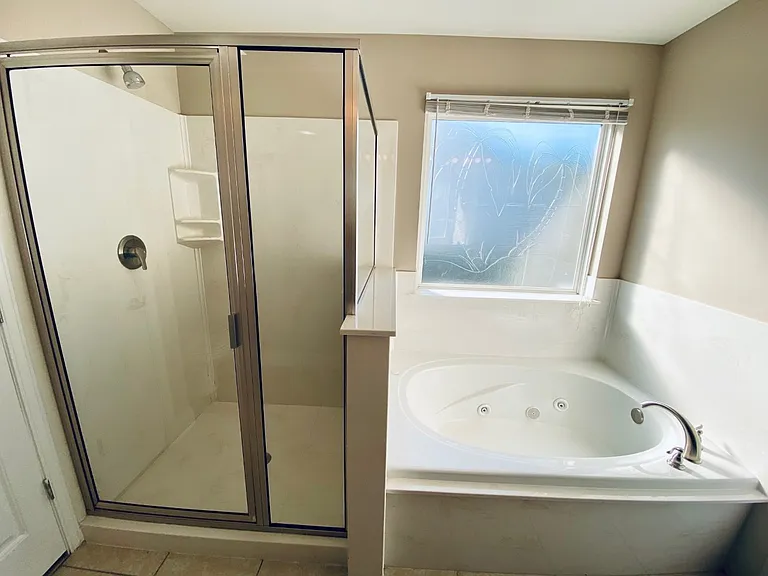 Master bathroom shower tub_03222023