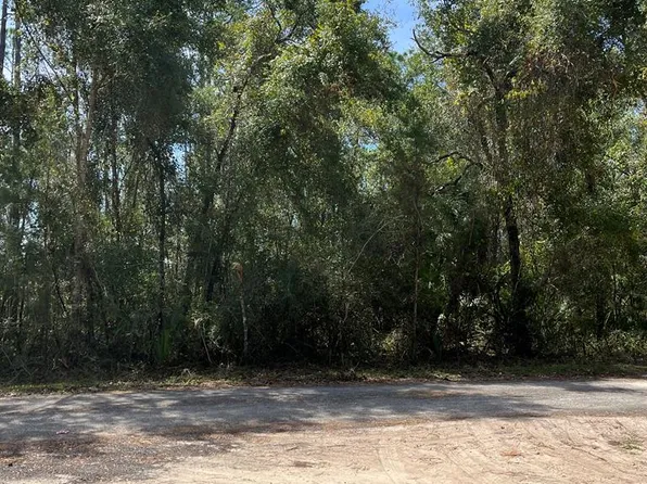 0 Pine Tree Rd, Steinhatchee, FL 32359