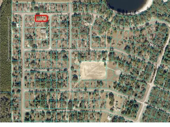 0 Malauka Place Trl #9, Ocklawaha, FL 32179