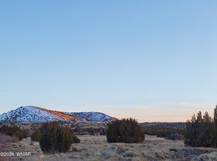 36 County Road 5089, Concho, AZ 85924