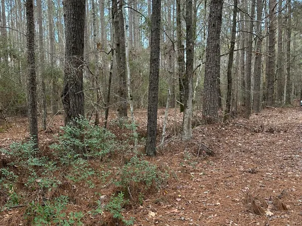 0 Cummings Chapel Rd, Ridgeville, SC 29472