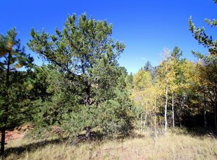418 Calcite Drive, Divide, CO 80814
