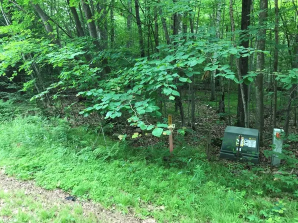 6.47 Acres THUMPER DRIVE, Ringle, WI 54471