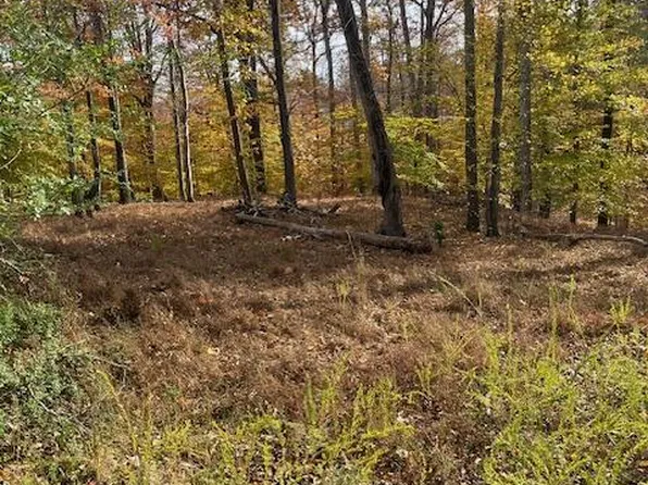 113 Moorefield Ln, Danville, VA 24541