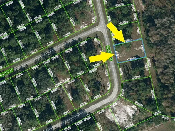 4434 Mindello St, Sebring, FL 33872