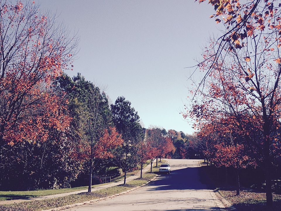 1st image of 232 Marsh Landing Dr