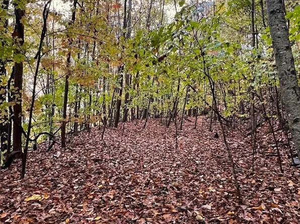 0 Friendship Walk, Bryson City, NC 28713