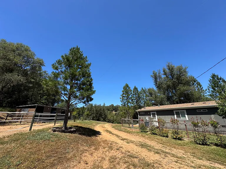 12114 Wolf Rd — Photo 3