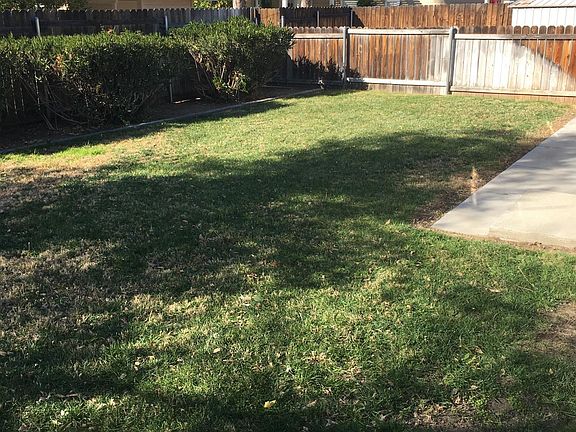 Back yard