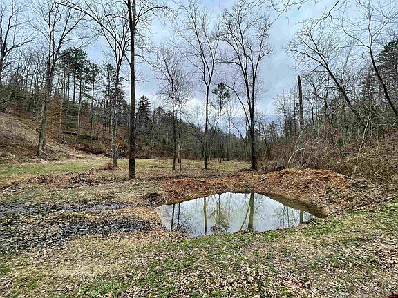 4th image of 001-05451-000 Tomahawk Slab Rd
