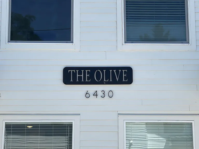 Olive — Photo 16