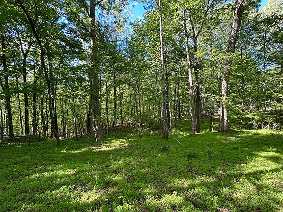5th image of 207 Scenic Dr Lot 14