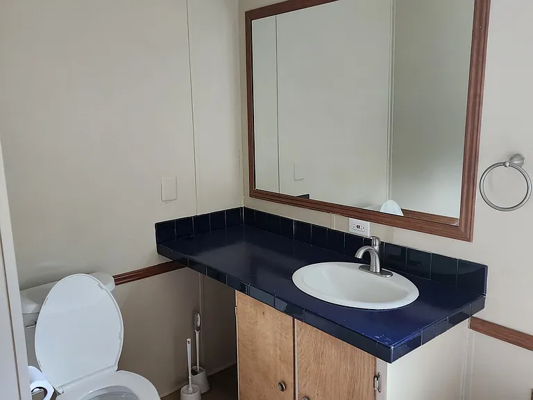 405 Redd Papa Pass — Photo 11