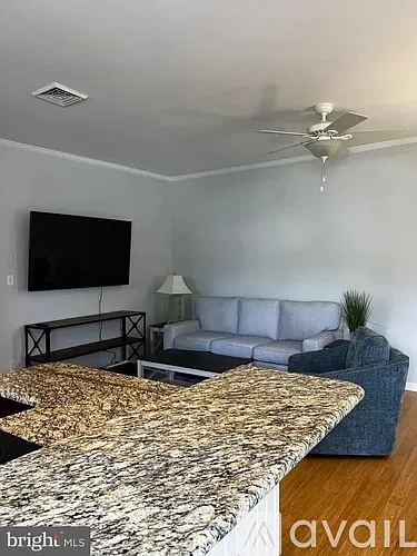2 bed, 1000 sqft, $2,000 — Photo 3
