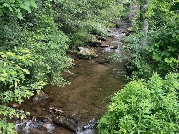 TBD Big Ivy RD. & Benge Ashe Rd., Purlear, NC 28665