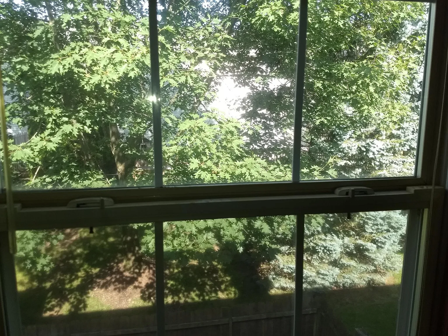 2 bed, 896 sqft, $1,250 — Photo 3