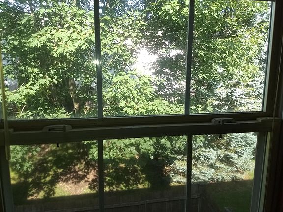 3rd image of 186 Macdougall Ln