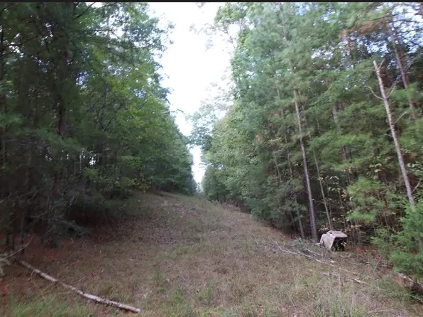 23 W Amber Ln, Rockmart, GA 30153
