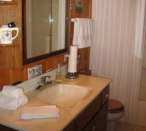Main Level Bathroom