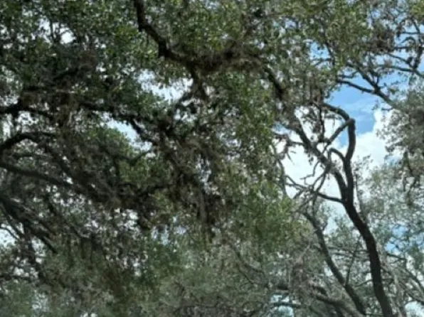 LOT 43 Pr 2535 LOT 43, Mico, TX 78056
