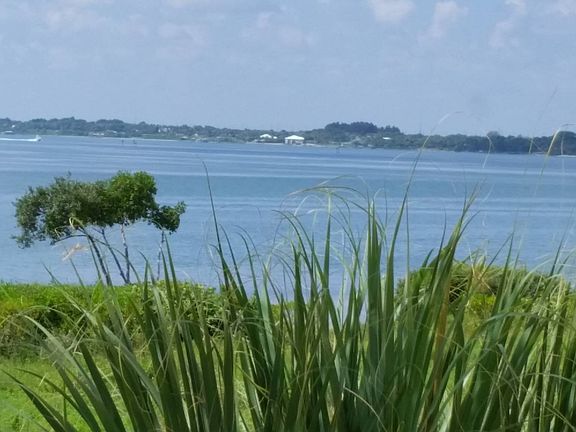 View of Indian River 