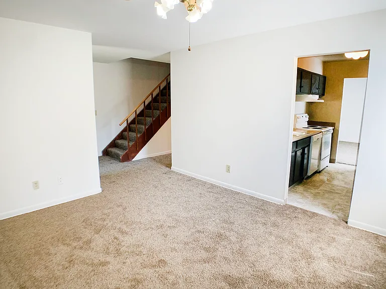 Forest Park Apartments — Photo 8