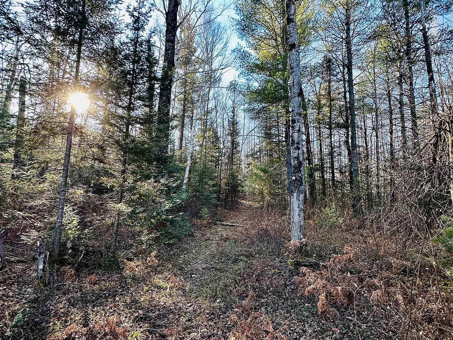 W Chain Lakes, Gwinn, MI 49841 Zillow