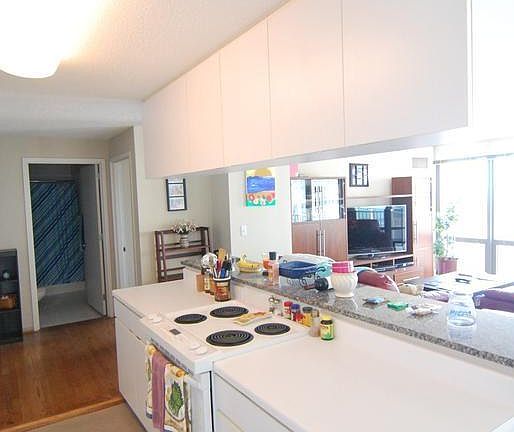 4th image of 2 E Erie St APT 3512L