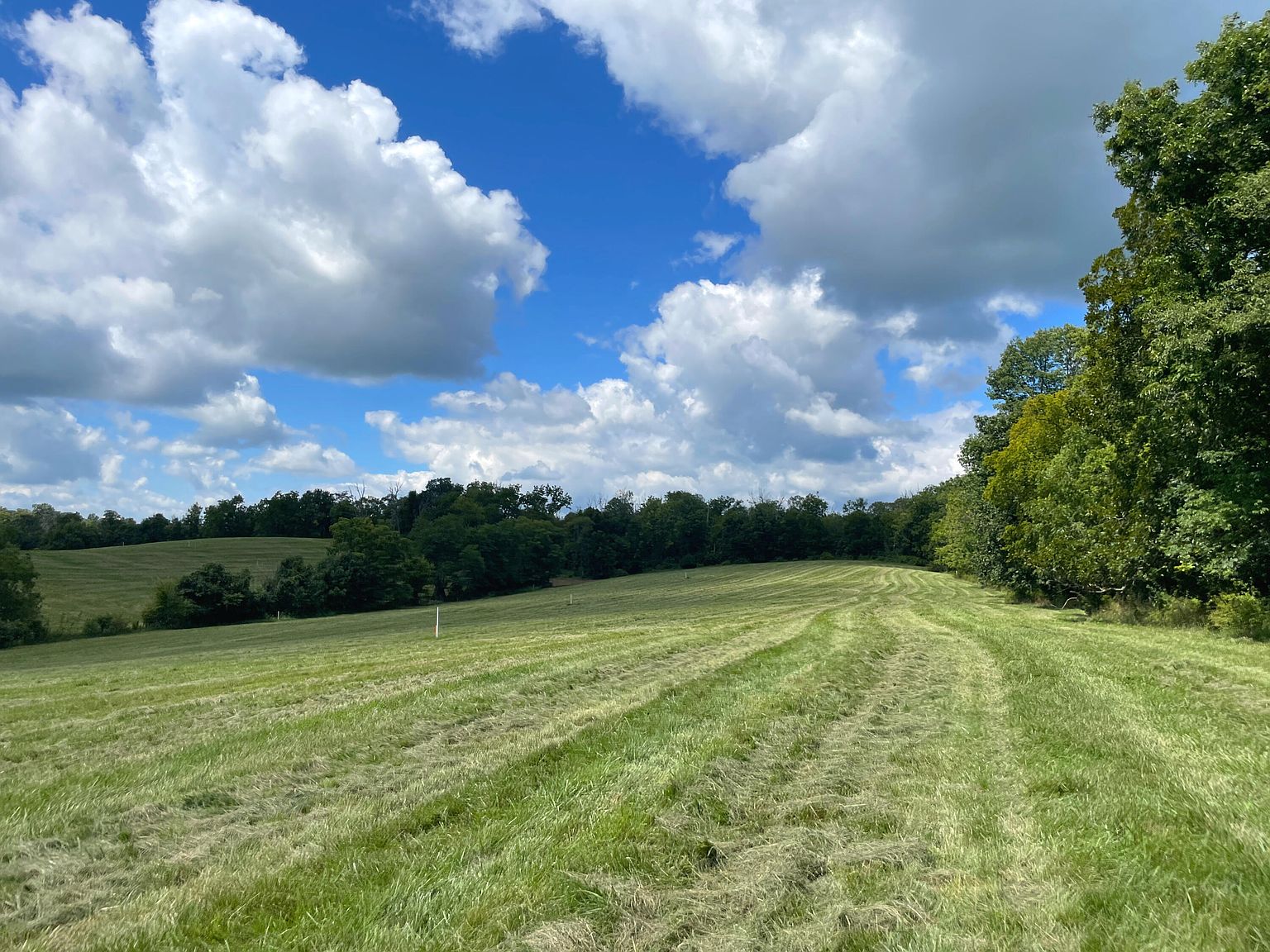 634 Switzer Pike, Cynthiana, KY 41031 MLS 23015823 Zillow