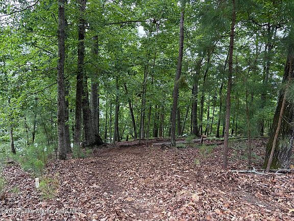 3rd image of 148 Eagle Rdg