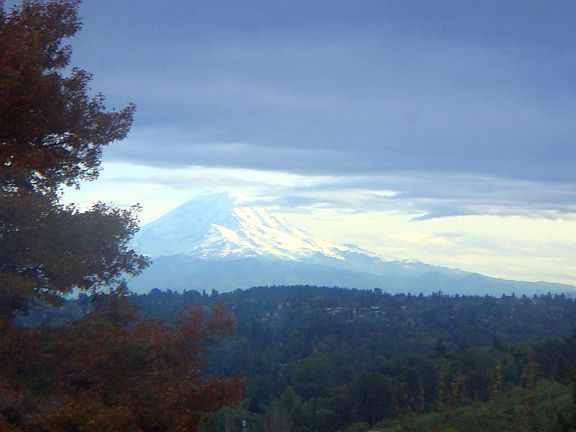 View from Kitchen Windows