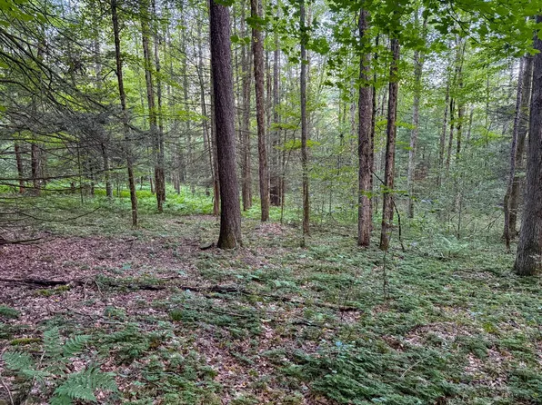 80 Stephen Rd, Little Meadows, PA 18830