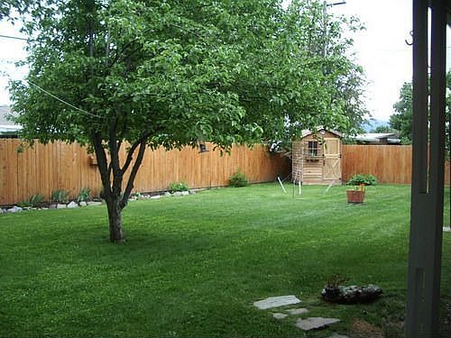 View 2-- backyard
