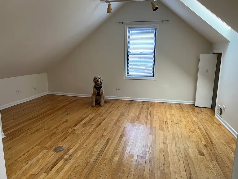 900 N Ashland Ave #4 — Photo 11