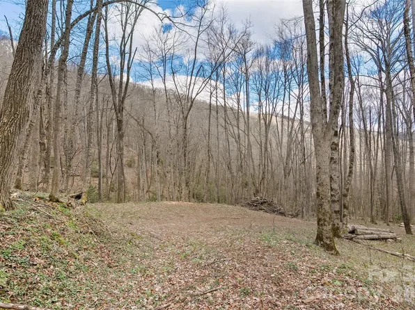 23 Forbidden Cv, Waynesville, NC 28785
