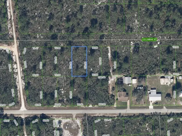 1507 Columbine St, Lake Placid, FL 33852