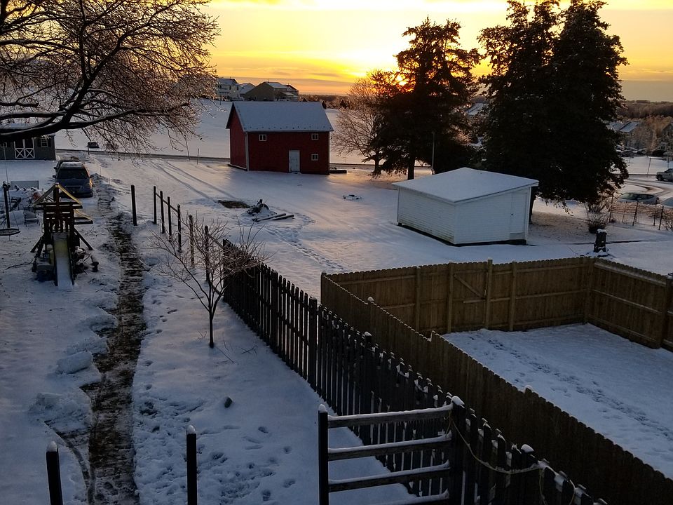Winter Morning