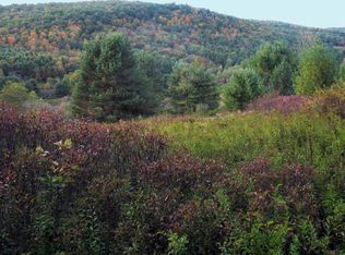 279 Fisher Settlement Road - Lot F, Spencer, NY 14883