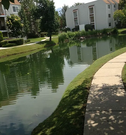 4611 S Quail Vista Cv #L — Photo 20