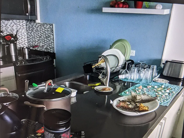 1479 Ashford Avenue Condado Del Mar #801 — Photo 3