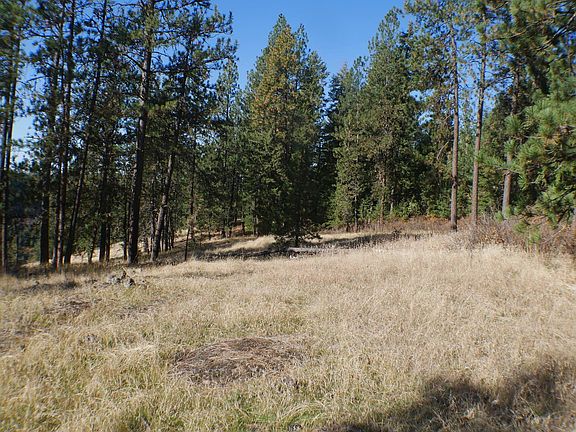 3rd image of E Bell Canyon Rd