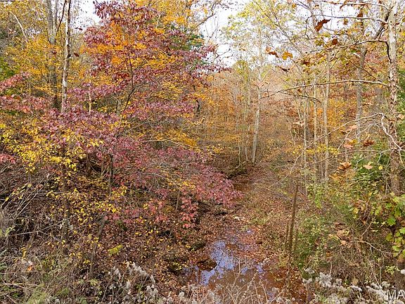 5th image of LOT 1F Short Rd