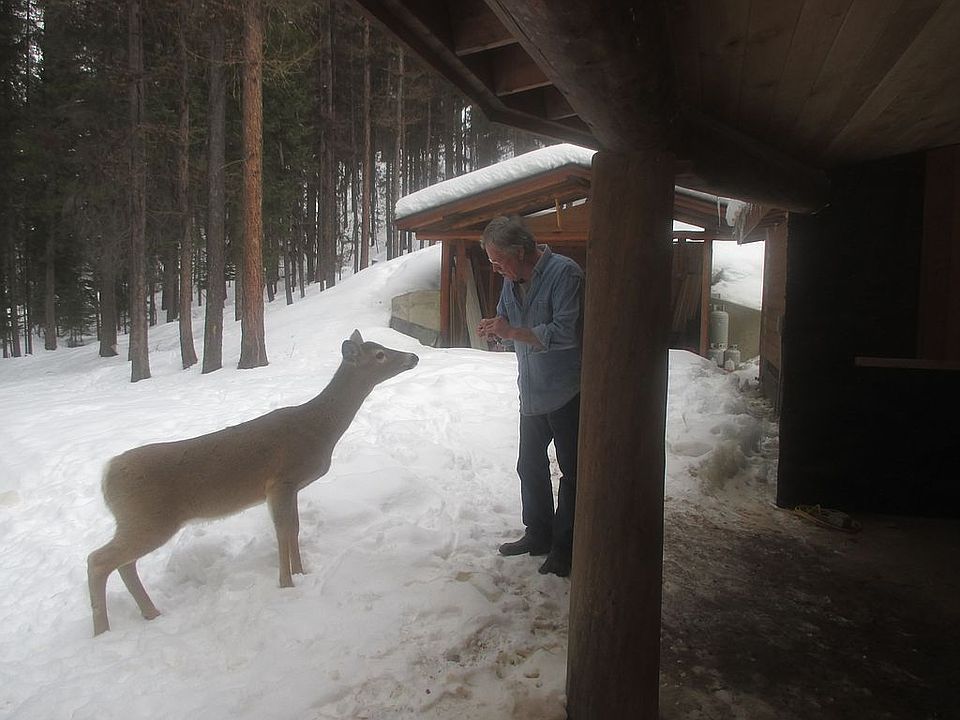 Wildlife Galore